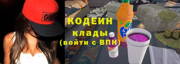 mdpv Ельня