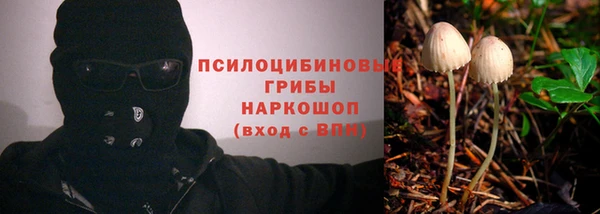 mdpv Ельня