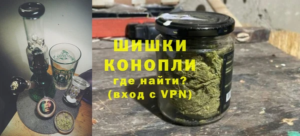 mdpv Ельня