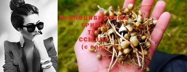 дмт Елабуга